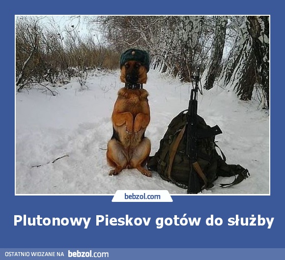 Plutonowy Pieskov gotów do służby