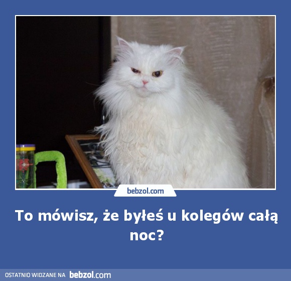 To mówisz, że byłeś u kolegów całą noc?