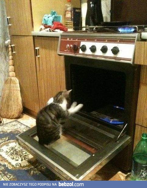 Kiedy zimno mi w łapki