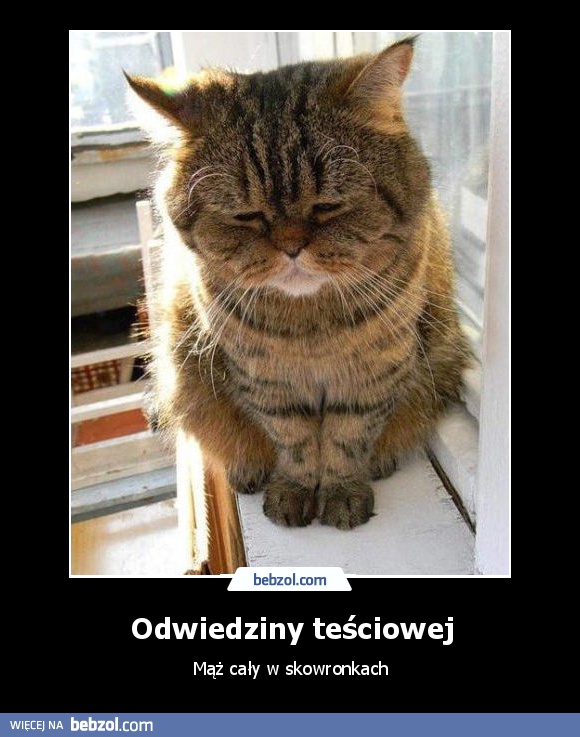 Odwiedziny teściowej