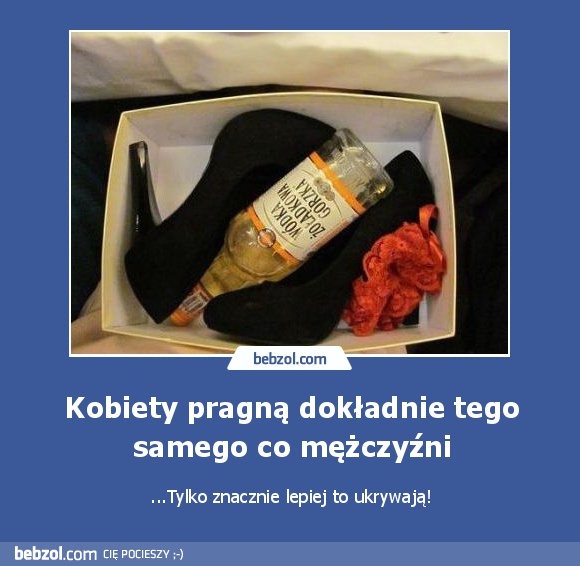 Kobiety pragną dokładnie tego samego co mężczyźni