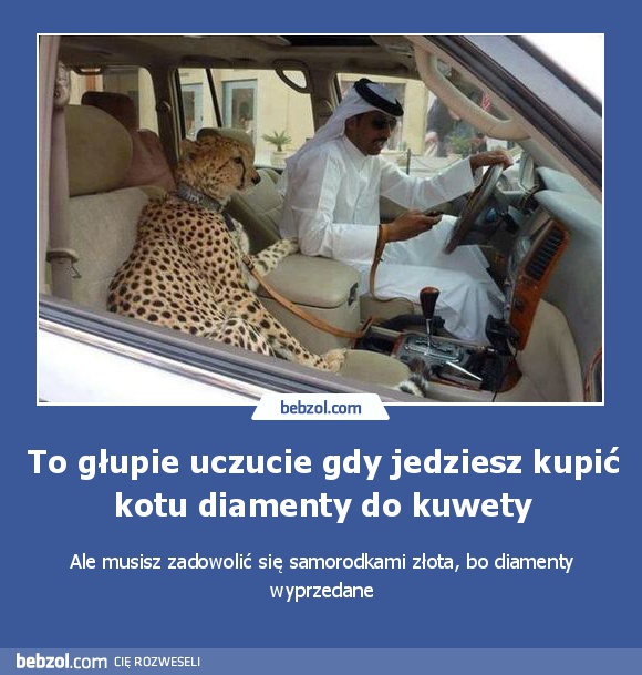 To głupie uczucie gdy jedziesz kupić kotu diamenty do kuwety