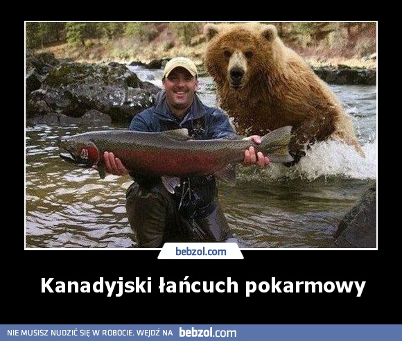 Kanadyjski łańcuch pokarmowy