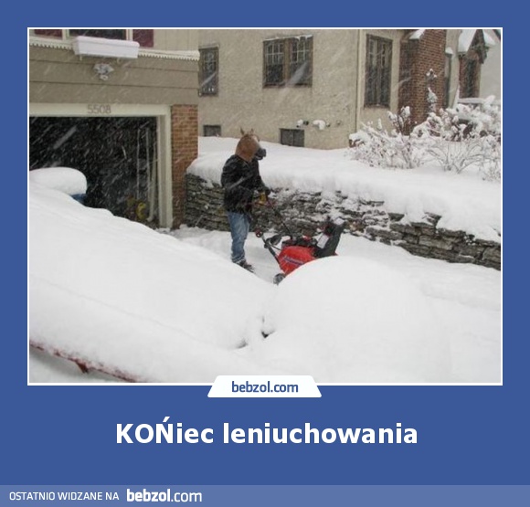 KOŃiec leniuchowania