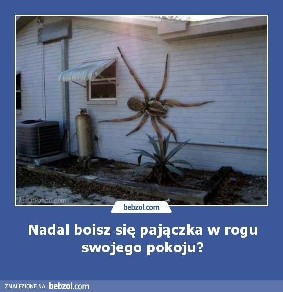 Nadal boisz się pajączka w rogu swojego pokoju?