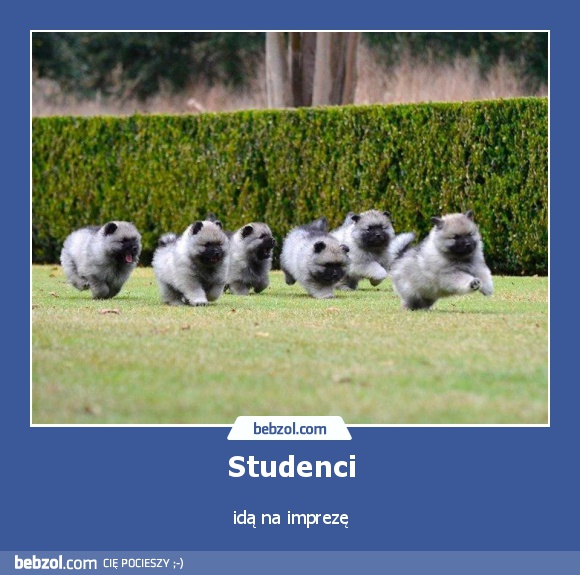 Studenci