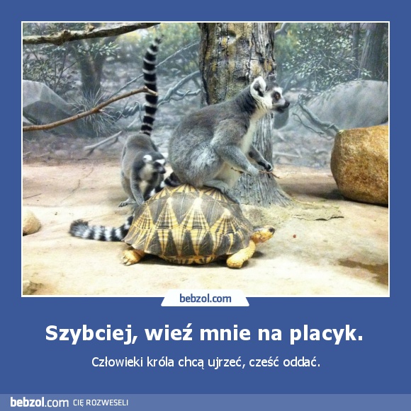 Szybciej, wieź mnie na placyk. 