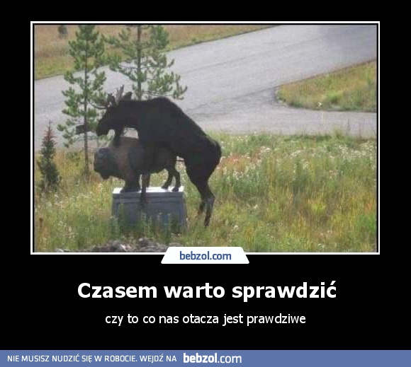 Czasem warto sprawdzić