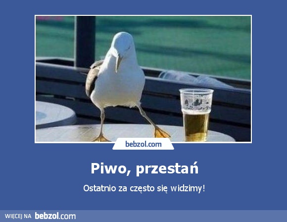 Piwo, przestań
