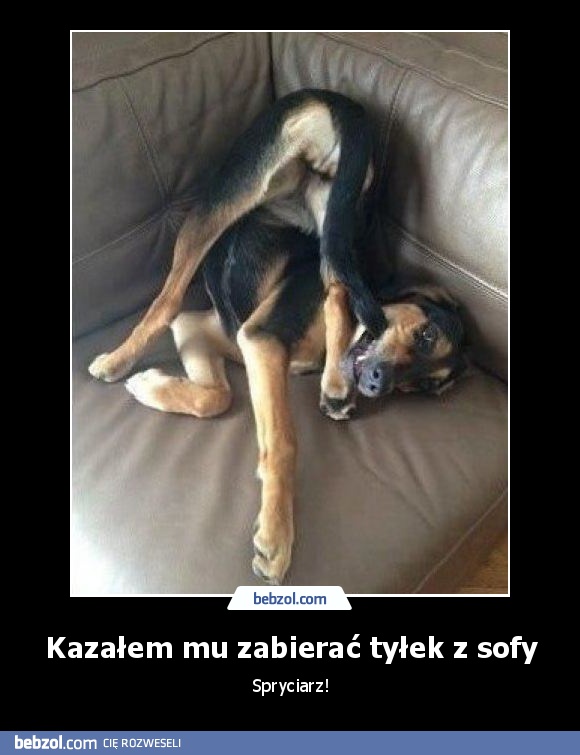 Kazałem mu zabierać tyłek z sofy