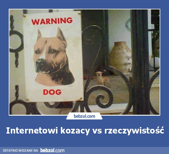 Internetowi kozacy vs rzeczywistość