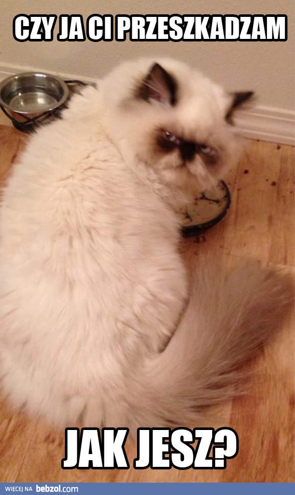 Czy ja ci przeszkadzam?!