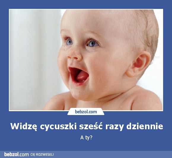 Widzę cycuszki sześć razy dziennie