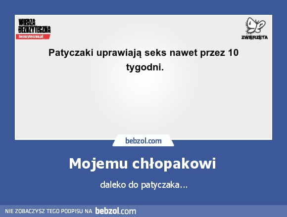 Mojemu chłopakowi 