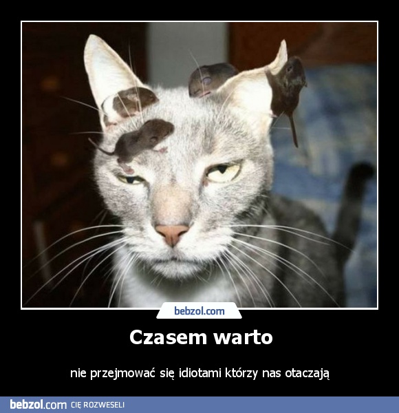 Czasem warto