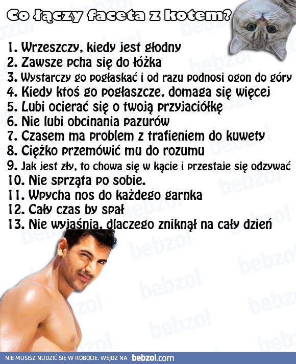 Co łączy faceta z kotem?