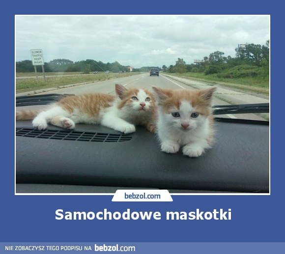 Samochodowe maskotki