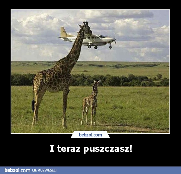 I teraz puszczasz!