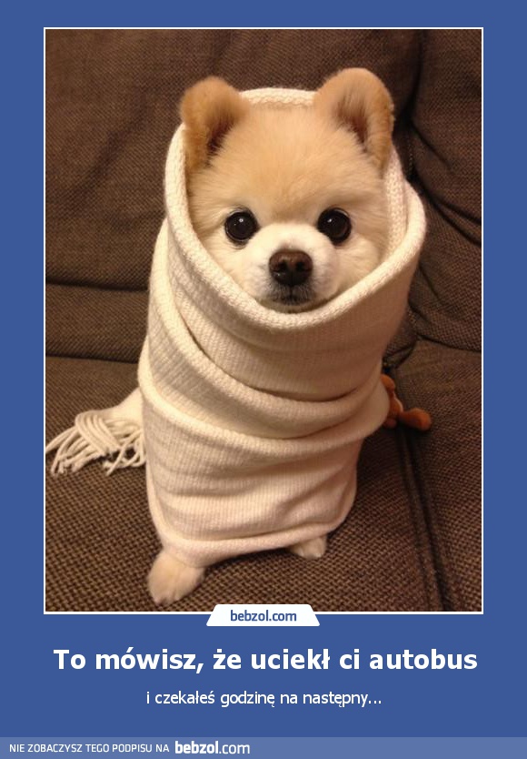 To mówisz, że uciekł ci autobus