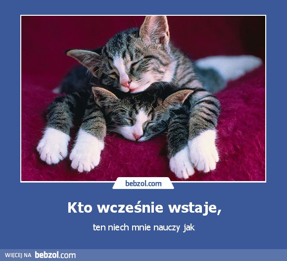 Kto wcześnie wstaje,