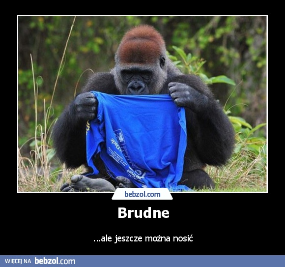 Brudne