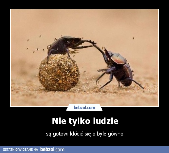 Nie tylko ludzie