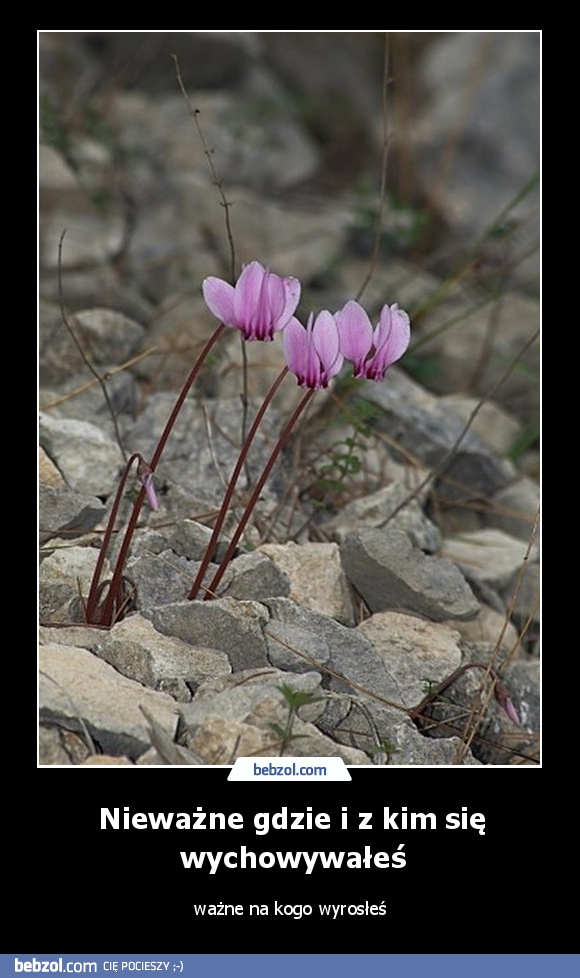 Nieważne gdzie i z kim się wychowywałeś
