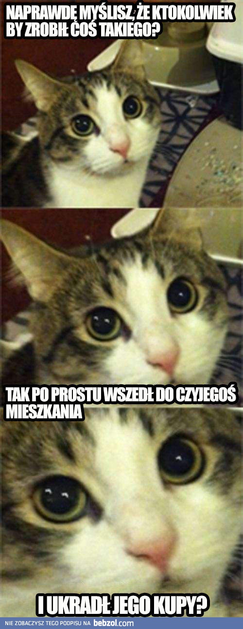 Jak ktoś mógł zrobić coś takiego?!