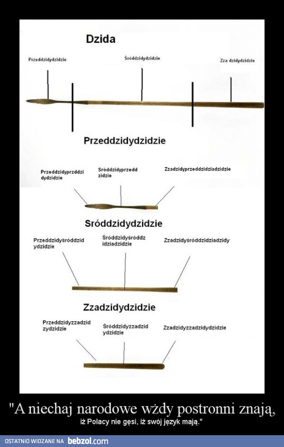 Polacy nie gęsi, własny język mają