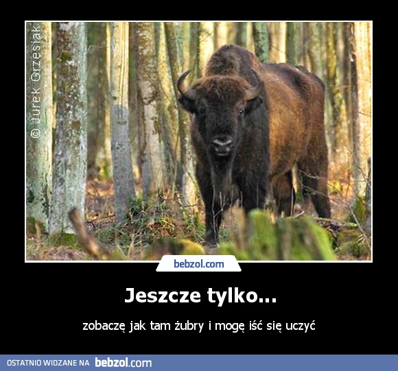 Jeszcze tylko...