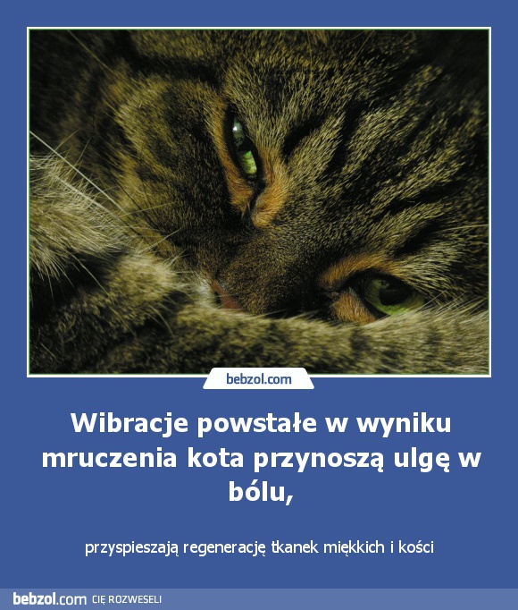 Wibracje powstałe w wyniku mruczenia kota przynoszą...