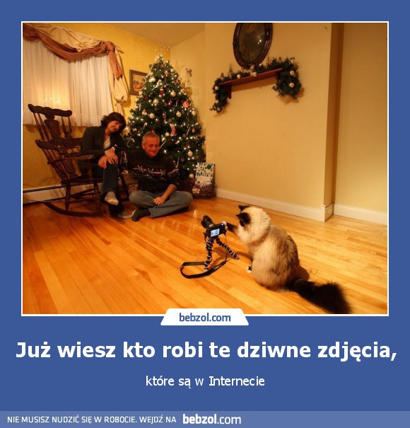 Już wiesz kto robi te dziwne zdjęcia,