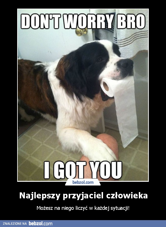 Najlepszy przyjaciel człowieka