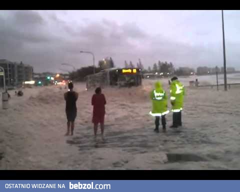 Niespodzianka na drodze