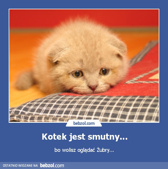 Kotek jest smutny...