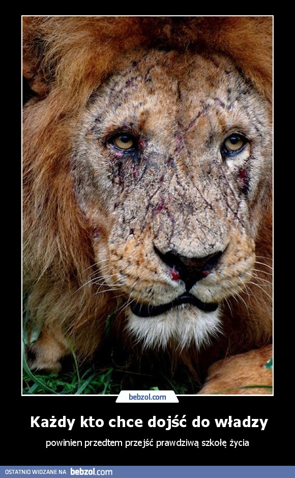 Każdy kto chce dojść do władzy