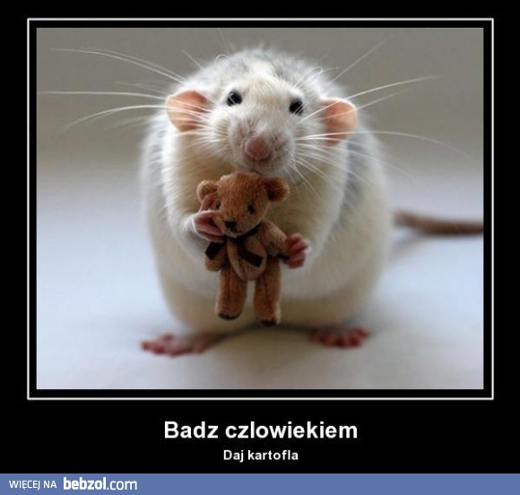 Bądź człowiekiem!