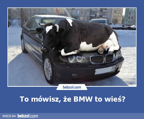 To mówisz, że BMW to wieś?