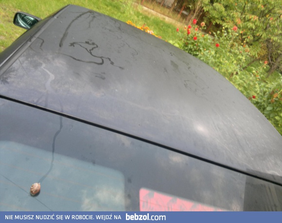 Podobnie wygl ada m oj  powr ot do domu w pi atkową noc 