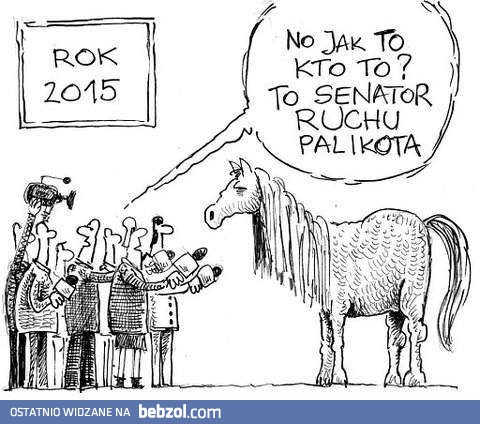 Nowy senator Ruchu Palikota