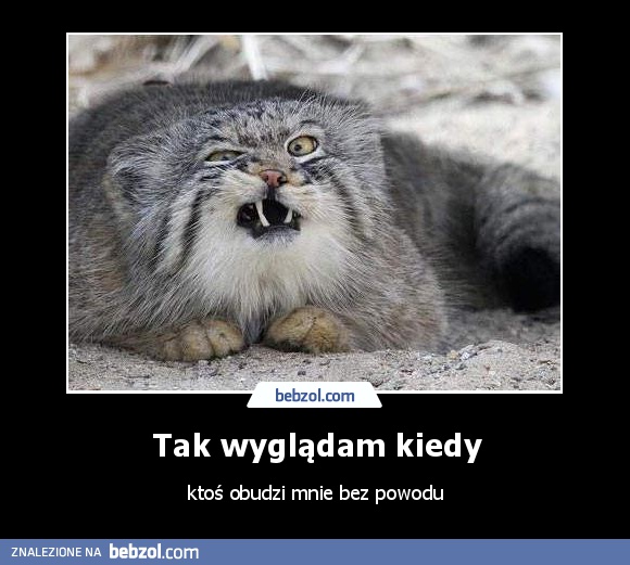 Tak wyglądam kiedy