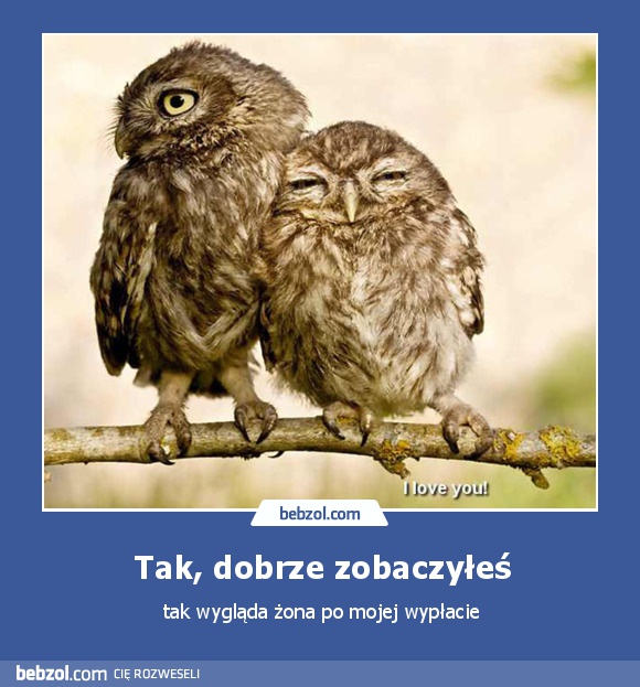 Tak, dobrze zobaczyłeś