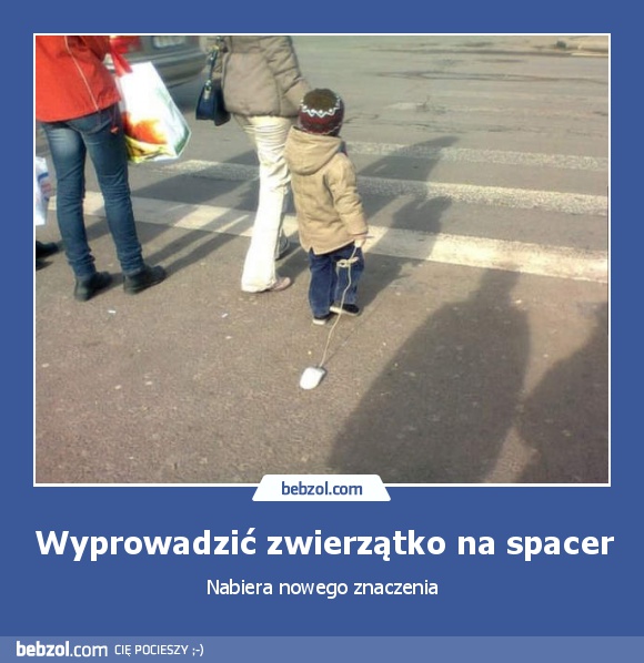 Wyprowadzić zwierzątko na spacer