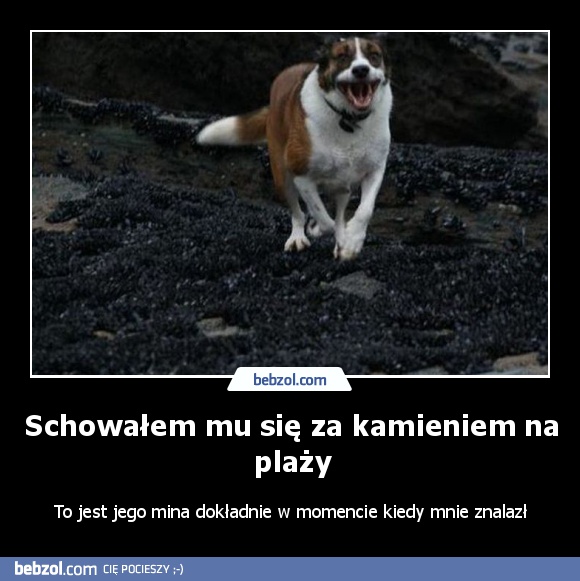 Schowałem mu się za kamieniem na plaży