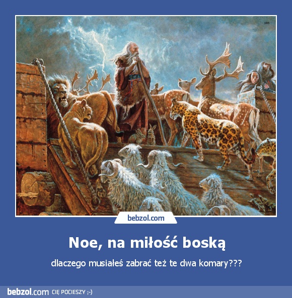 Noe, na miłość boską