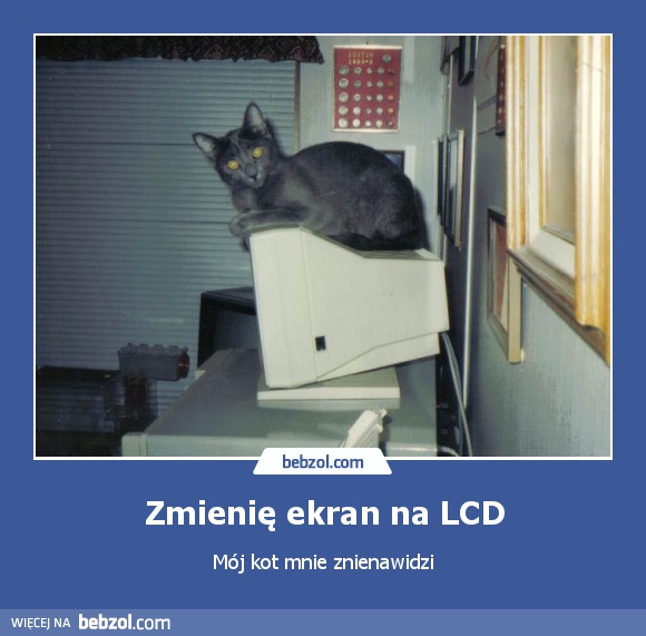 Zmienię ekran na LCD