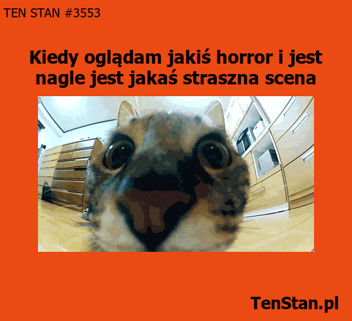 Kiedy oglądam horror i pojawia się straszna scena