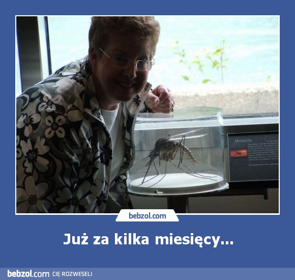 Już za kilka miesięcy...