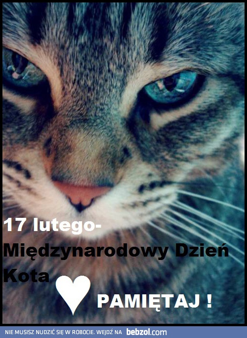 Międzynarodowy dzień kota