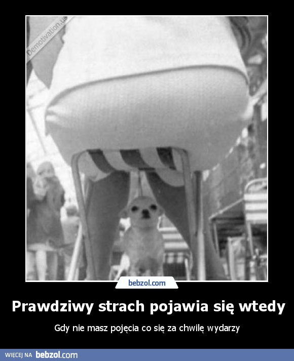 Prawdziwy strach pojawia się wtedy